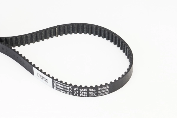 Timing Belt